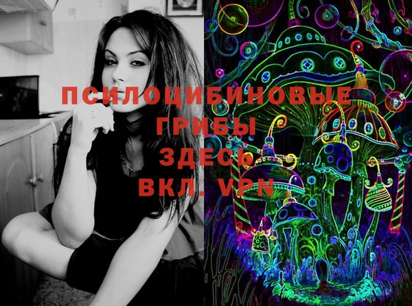 PSILOCYBIN Балахна
