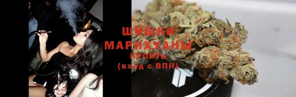 PSILOCYBIN Балахна