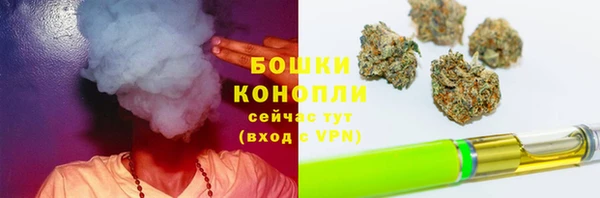 PSILOCYBIN Балахна