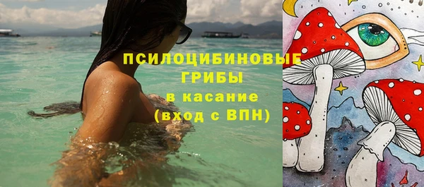 PSILOCYBIN Балахна