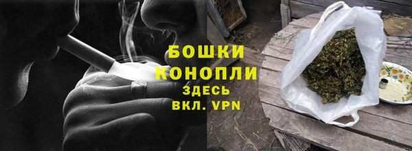 PSILOCYBIN Балахна