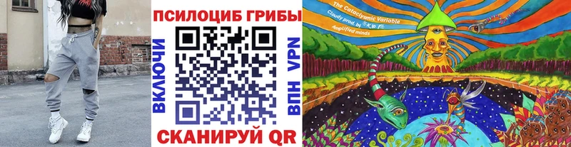 Галлюциногенные грибы MAGIC MUSHROOMS Курганинск